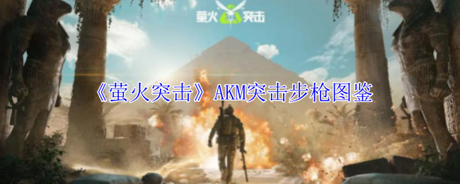 《萤火突击》AKM突击步枪图鉴-第1张图片