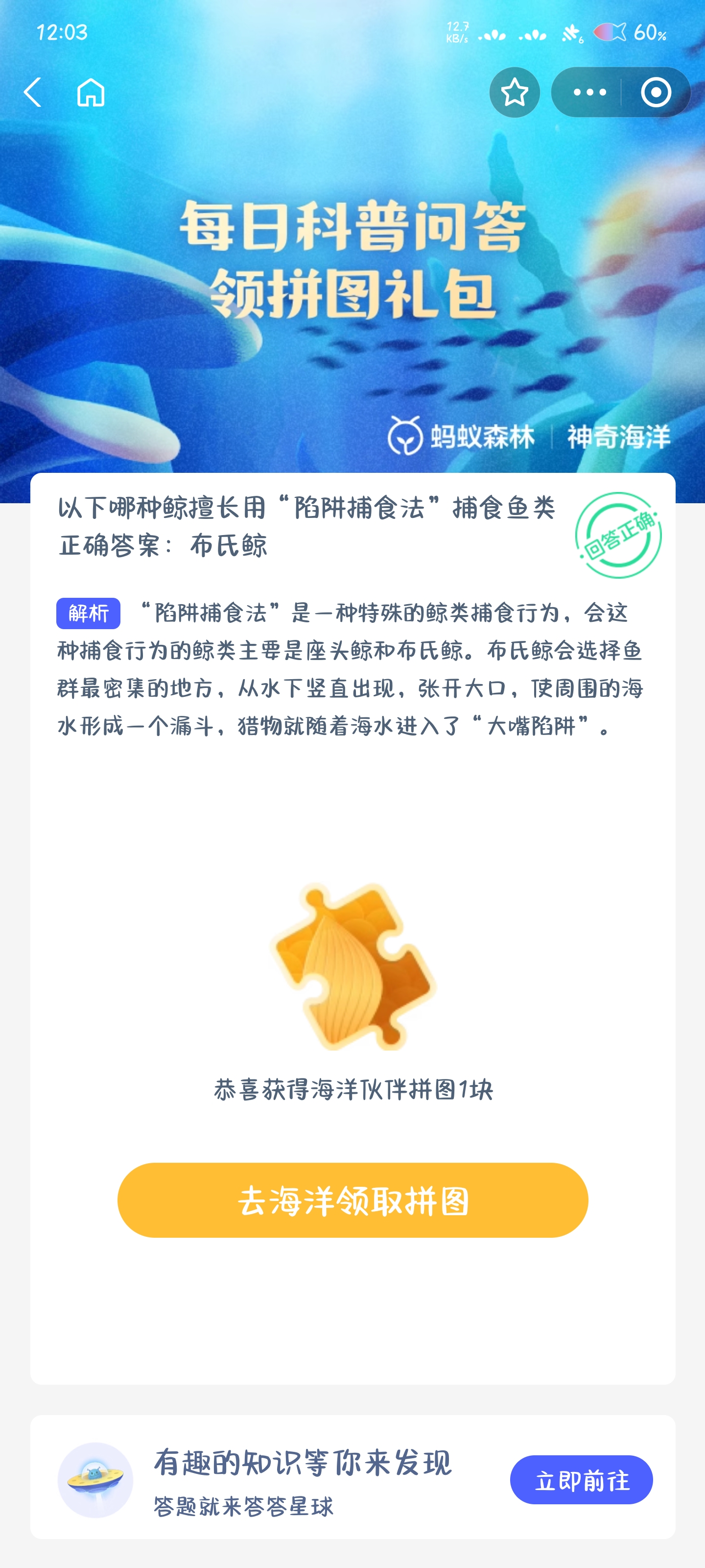 以下哪种鲸擅长用陷阱捕食法捕食鱼类-第2张图片