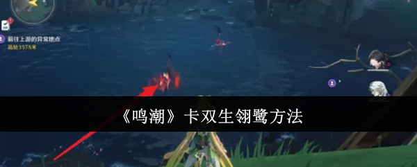 《鸣潮》卡双生翎鹭方法-第1张图片