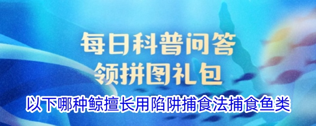 以下哪种鲸擅长用陷阱捕食法捕食鱼类-第1张图片