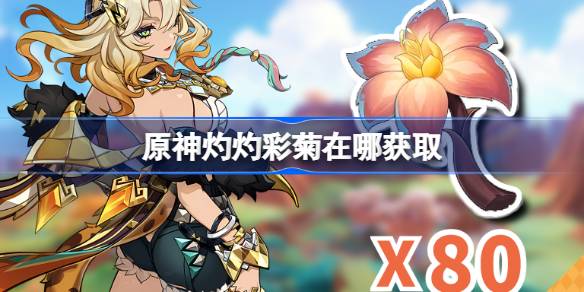 原神灼灼彩菊在哪获得 原神灼灼彩菊位置大全-第1张图片