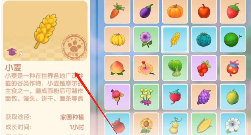 摩尔庄园手游浆果烧饼菜谱-第5张图片