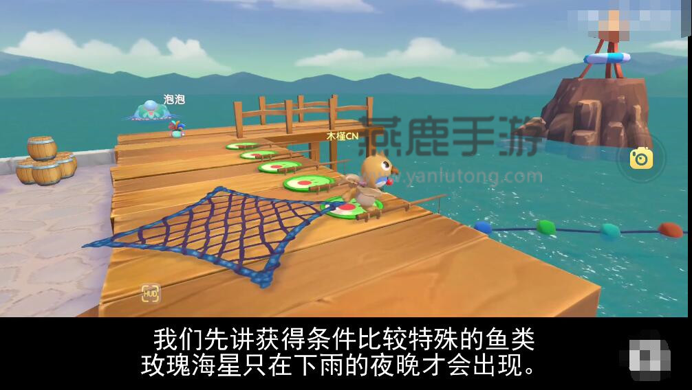 摩尔庄园玫瑰海星位置-第3张图片