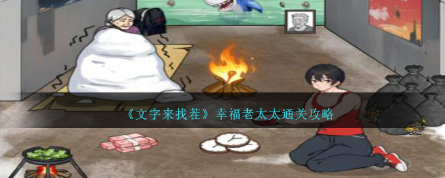 《文字来找茬》幸福老太太通关攻略-第1张图片