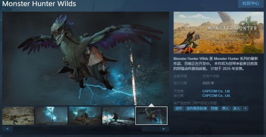 《怪物猎人：荒野》Steam页面上线 2025年发售-第1张图片