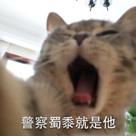 未成年游戏氪金怎么破 狠人家长下猛药 送往派出所“悟道”-第4张图片 未成年游戏氪金怎么破 狠人家长下猛药 送往派出所“悟道”-第4张图片