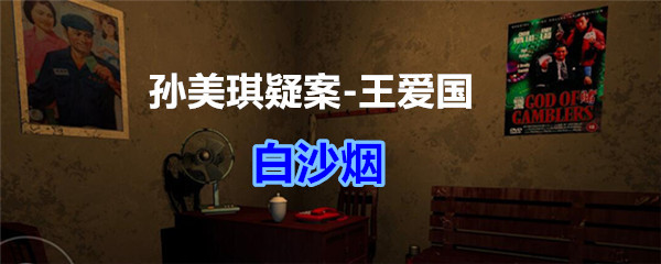 《孙美琪疑案-王爱国》白沙烟线索获得-第1张图片