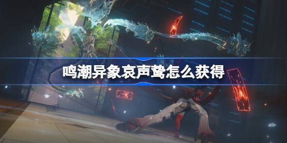 如何获得鸟的歌声和叫声以及如何获得攻略-第1张图片