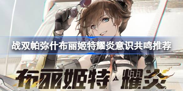 如何选择帕米尔高原布里吉特特么岩的意识共鸣？-第1张图片