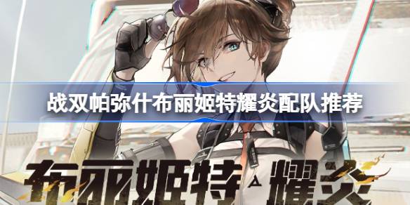 如何搭配帕米尔高原的布里吉特特么岩队？-第1张图片