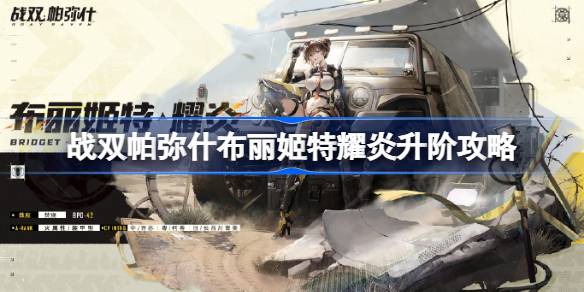 如何升级布里奇特和特么岩两个帕米尔高原之间的战争等级？提高布里吉特和特耀延两个帕米尔高原之间战争水平的战略-第1张图片