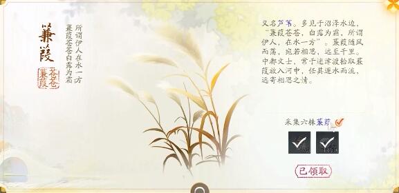 《万安寺梦录集》拍摄石刻简介-第6张图片