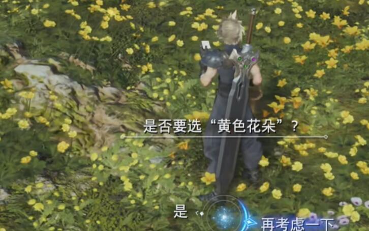 最终幻想7重生之丘上盛开的花朵-第4张图片