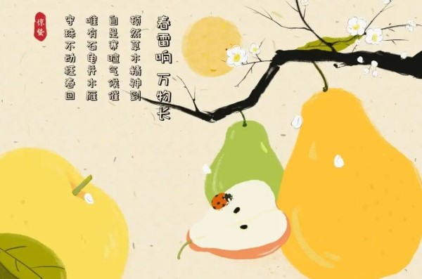 3月5日《蚂蚁庄园》:中国吃梨的民俗寄托了人们怎样的美好愿望？-第3张图片