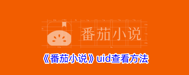 番茄小说的观看方法-第1张图片