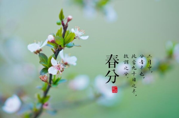 3月20日，蚂蚁庄园:春分雨线表示什么节气？-第3张图片