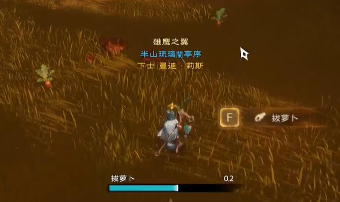 塔里斯世界安卡什峡谷宝箱位置全集-第15张图片
