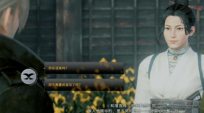 浪人崛起时，如何保证天下安定？-第10张图片