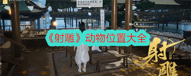 秃鹰的动物姿势大全-第1张图片