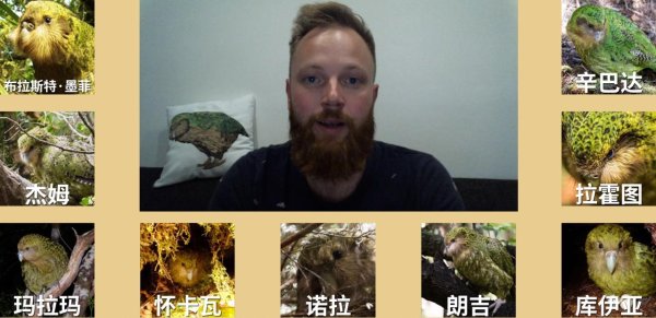 《矮人军团自走棋》专访：为了拯救世界上最傻的鸟，我踏上了开发之路！-第9张图片