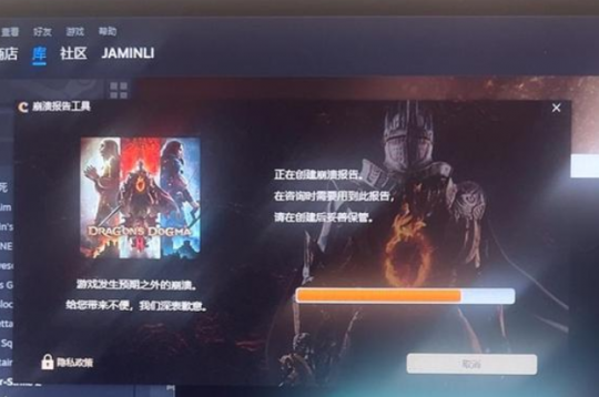 只有34%的好评被接受。《龙之信条2》发售,雷雨20系列显卡不允许进入游戏。-第2张图片 只有34%的好评被接受。《龙之信条2》发售,雷雨20系列显卡不允许进入游戏。-第2张图片