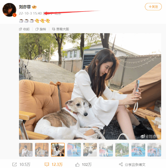 刘亦菲穿白丝小黑裙巴黎看秀：还在用华为Mate X2-第4张图片