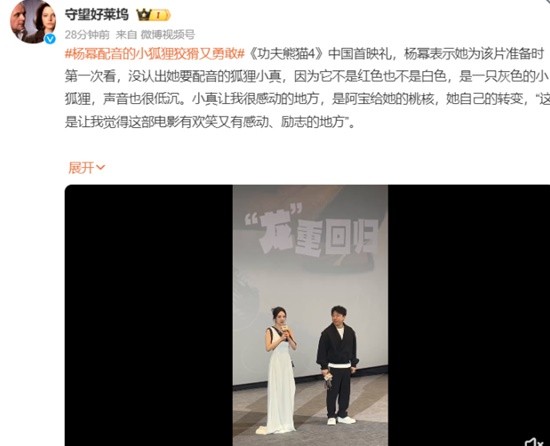 杨幂出席《功夫熊猫4》首映礼 身穿全球高定裙装-第1张图片