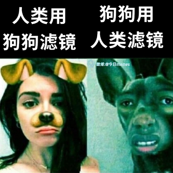 有可能根本不是一个物种 囧图 我看你是被猪油蒙了心-第1张图片