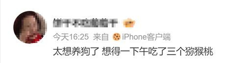 强推!申请《以闪亮之名》游戏加入养宠人必入清单-第9张图片