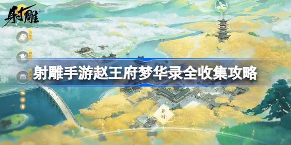 赵王宓的梦幻唱片在哪里？-第1张图片