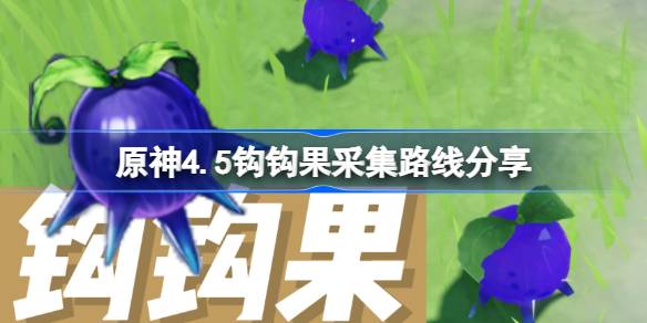 原神4.5钩果收集路线分享原神4.5钩果哪里有卖的？-第1张图片