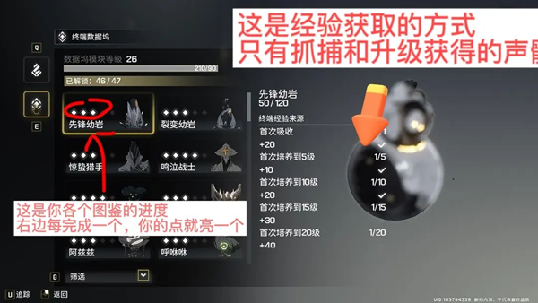 明超歌坛快速升级引论-第4张图片