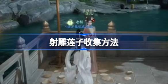 如何收集雕刻好的莲子？雕刻莲子的收集方法-第1张图片