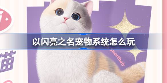 以闪亮之名的宠物系统怎么玩以闪亮之名的宠物系统活动介绍。-第1张图片