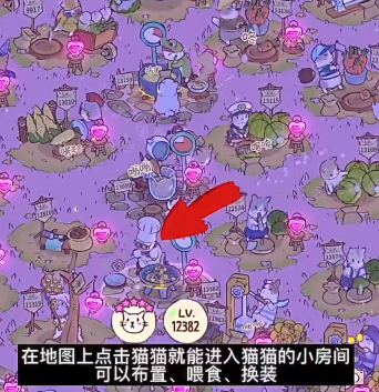 猫和汤进入猫房方式的调查-第2张图片