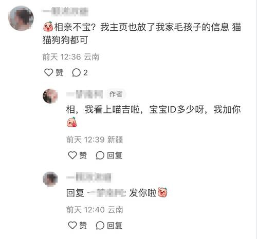 强推!申请《以闪亮之名》游戏加入养宠人必入清单-第17张图片