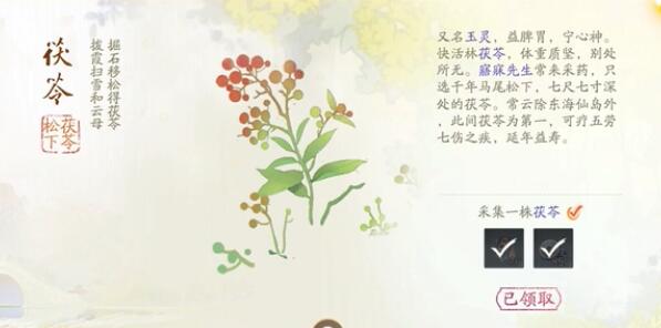 拍摄雕塑，梦想，记录，快乐森林，所有收藏攻略-第1张图片