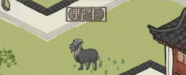 江南白静小动物和山羊插图-第1张图片