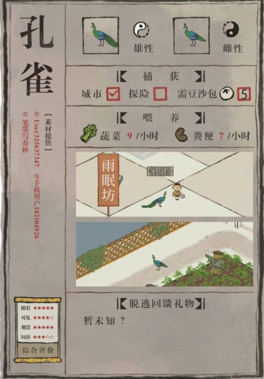 江南小动物孔雀图-第3张图片
