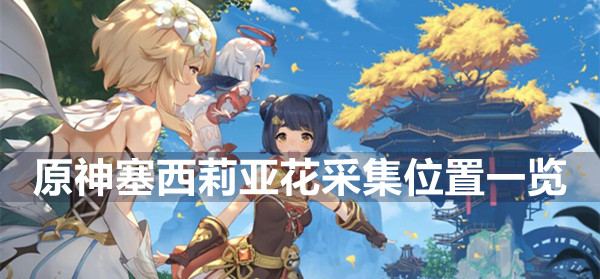 塞西莉亚鲜花收藏地点列表。-第1张图片