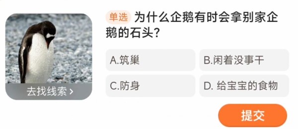 为什么企鹅有时会拿走其他企鹅的石头？-第2张图片