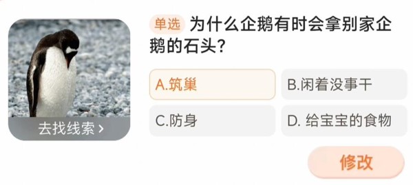 为什么企鹅有时会拿走其他企鹅的石头？-第4张图片