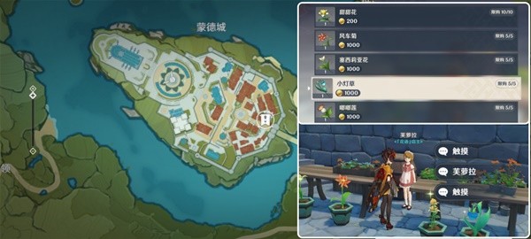 原基4.5乌药的收集路线图如何快速获得原基4.5乌药？-第12张图片