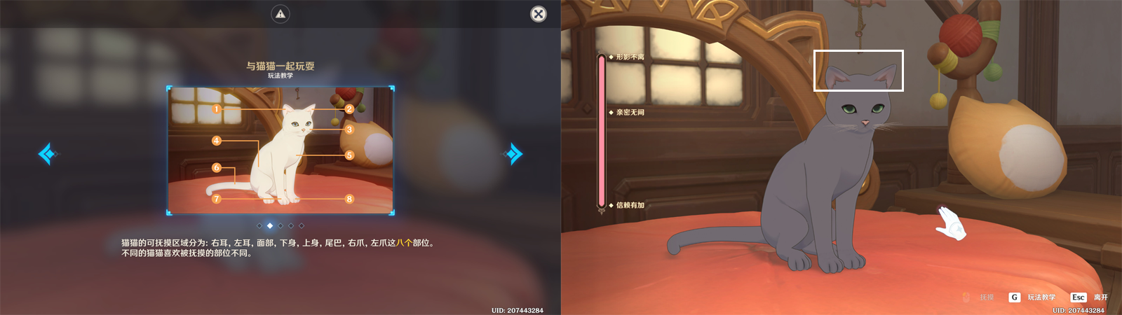 原神荣荣城堡大喵保险第三天怎么过？原神荣荣城堡大喵保险第三关-第6张图片