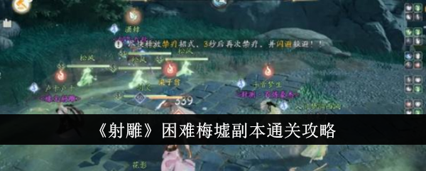 《神雕侠侣》副本梅子市场通关攻略-第1张图片