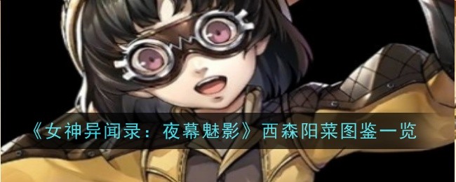 《女神异闻录:夜之幻影》中的西森洋菜简介-第1张图片