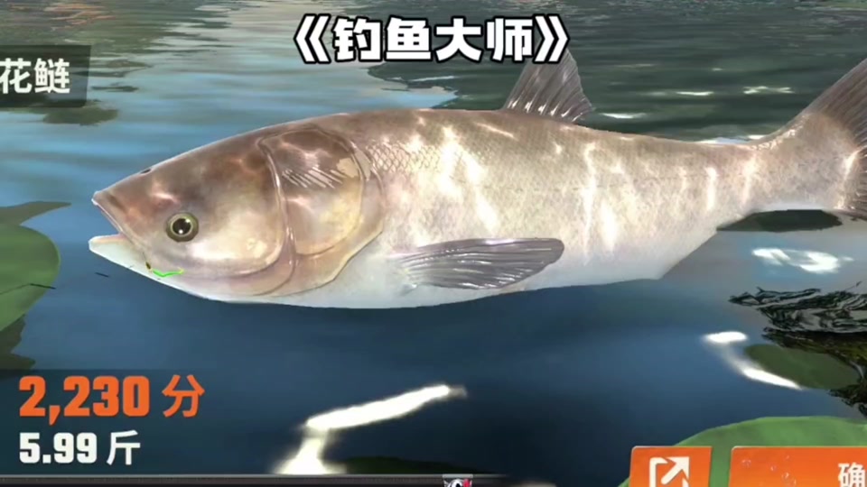 快乐钓鱼大师如何开启陀螺仪？-第2张图片