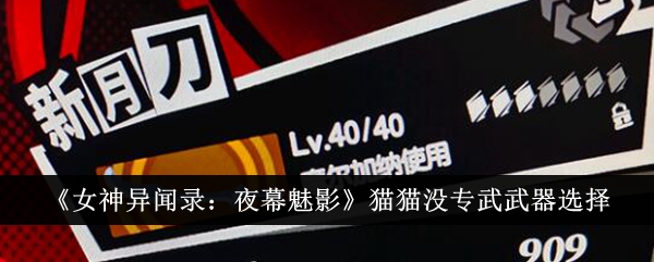 女神奇闻:夜猫魅影没有选择专门的武器。-第1张图片