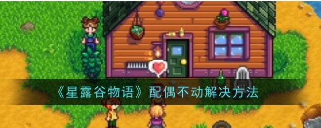 《《星露谷物语》故事》中配偶固定化的解决方案-第1张图片