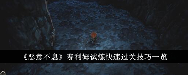 塞利姆在恶意无休止的审判中的快速传球技巧调查-第1张图片